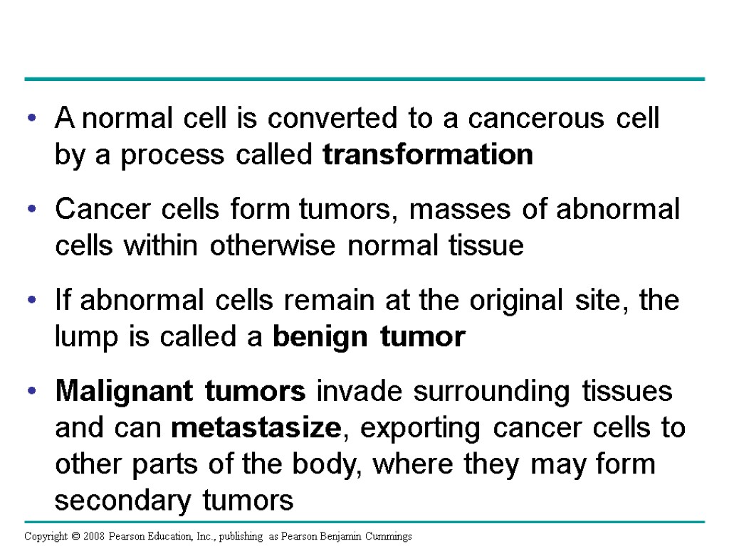 A normal cell is converted to a cancerous cell by a process called transformation